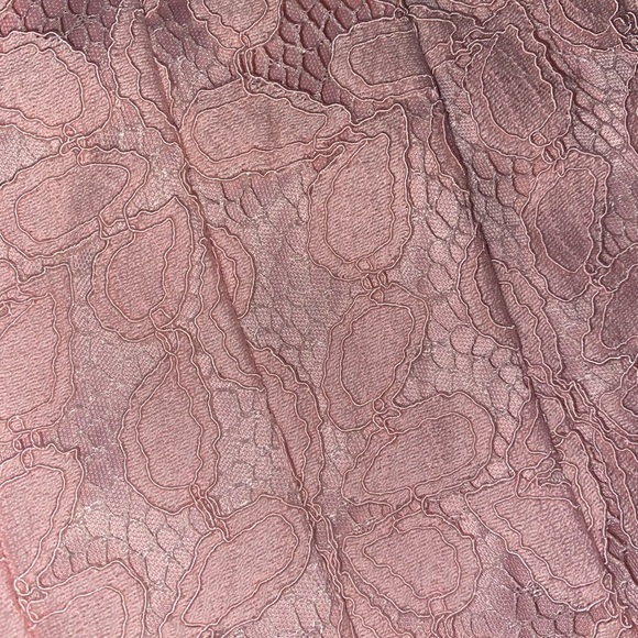 JESSICA HOWARD Floral Lace Pattern Sleeveless Fit’n’Flare Dress Soft Pink SZ 4P - Picture 6 of 8